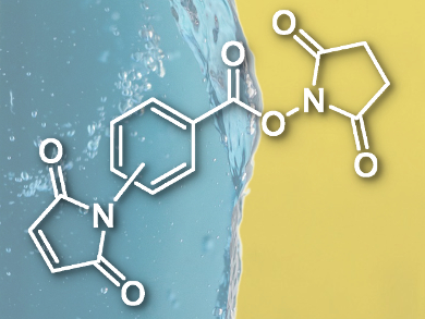 Synthesis of Phospholipopeptides