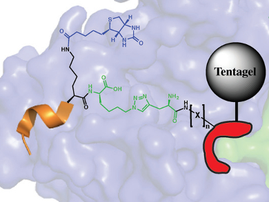 Botox Inhibitor with Killer Potential