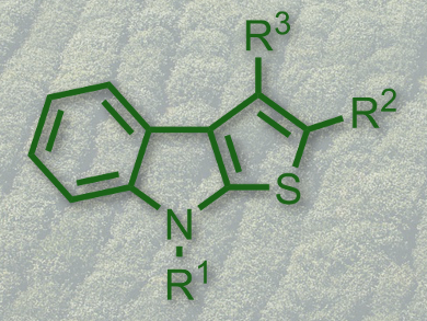 Synthesis of Thienoindoles