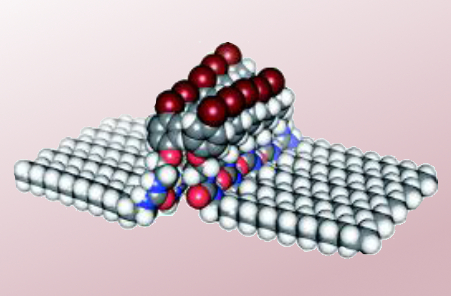 Understanding Self-Assembly at Interfaces