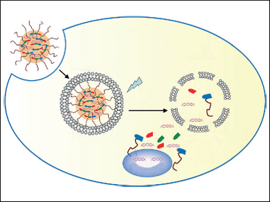 Photoactivatable Gene Vectors