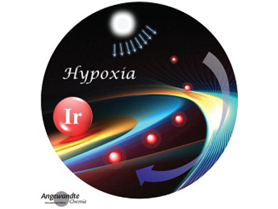 Angewandte Chemie 28/2015: Nobel Chemistry