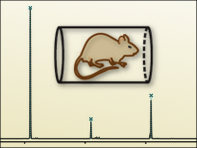 Mass Spectrometry of Mouse Breath