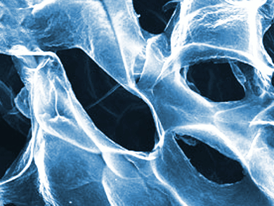 Foamy Graphene for Fuel Cells