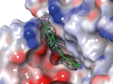 Addressing a New Drug Target