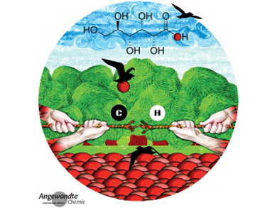 Angewandte Chemie 31/2015: Strategies and Methods