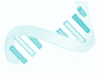 Merging Chemistry And Genomics to Understand RNA