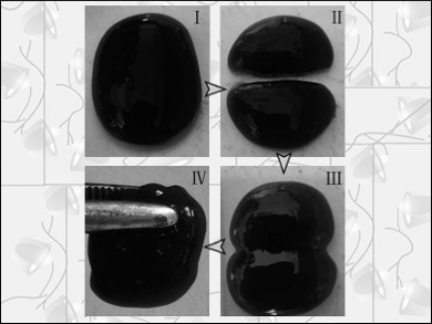 Rapidly Self-Healing Hydrogel