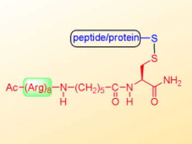 Solid-Supported Reagent for Conjugating Oligoarginine