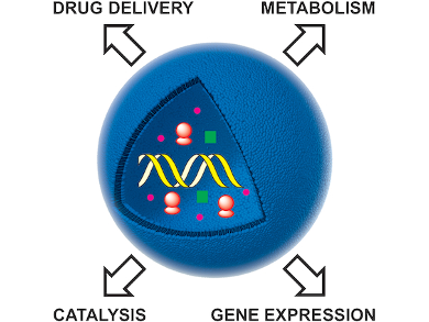 Self-Assembled Hybrid Artificial Cells