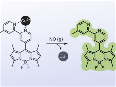 Easy Detection of Nitrogen Oxide