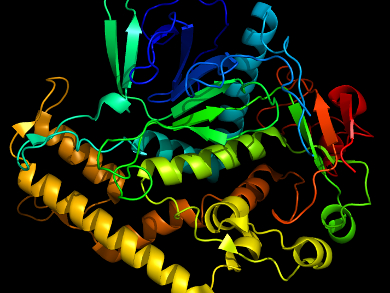 Biosensors for Protein Toxins