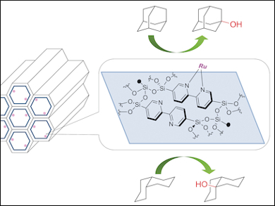 Reusable Ruthenium Catalyst for Selective Oxidations
