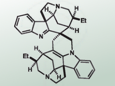 Total Synthesis of (–)-Leucoridines A and C