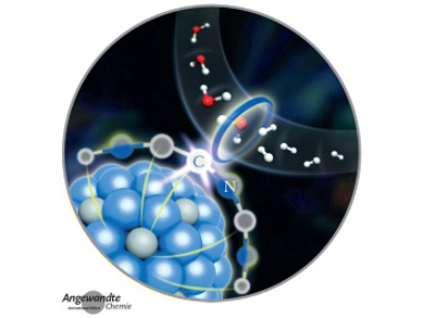 Angewandte Chemie 37/2015: Fine Control