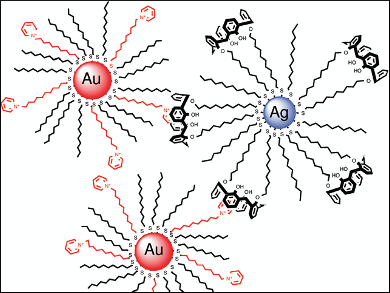 Precious Metal Nanoparticle Assemblies