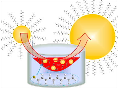 Controlling Gold Nanoparticle Growth