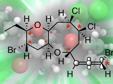 Total Syntheses of Microcladallenes A, B, and C