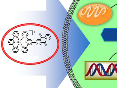 Combating Drug Resistance in Hypoxic Tumor Cells