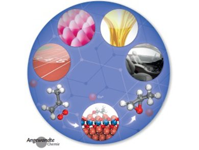 Angewandte Chemie 41/2015: Essential Reading