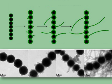 Controlling Polyaniline Growth