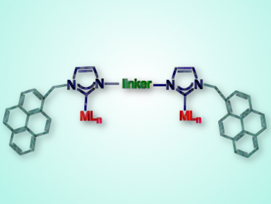 Noncovalent Interactions Impact Borrowing-Hydrogen Processes