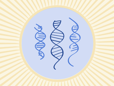 Understanding Light-Induced DNA Damage