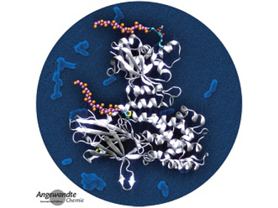 Angewandte Chemie 45/2015: High Impact