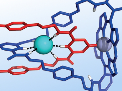 Chloride Selectively Bound