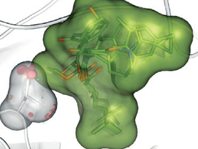 Bengamides: Potential Antitumor Agents