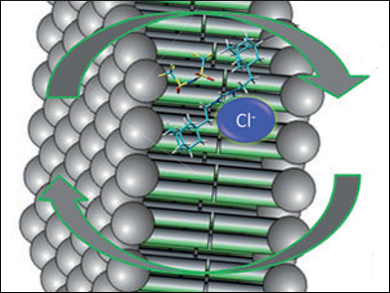 Controllable Chloride Transport