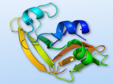 Cell-Free Protein Synthesis