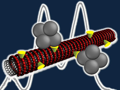 Biosensors Converse with Nanotubes