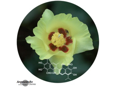 Angewandte Chemie 49/2015: More Desirable