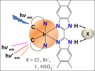 Convenient Anion Sensor Candidate