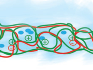 Gallium Against Bacterial Biofilms