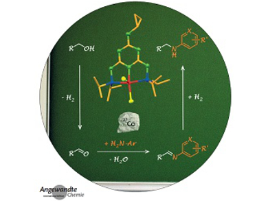 Angewandte Chemie 50/2015: All that Glitters is (Not) Gold