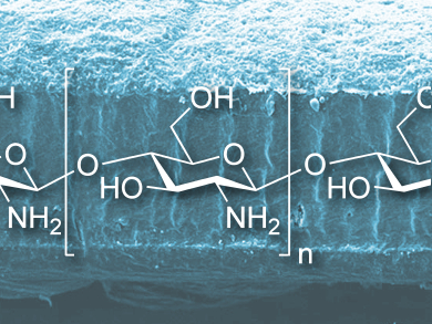 Transparent Antibacterial Films