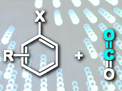 Formylation with Carbon Dioxide