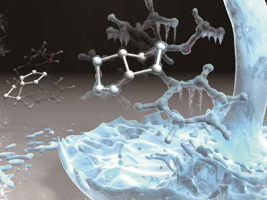 Freeze Framing the Third Isomer of C–C Homolysis