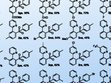 Rhodium-Catalyzed Functionalization of Arenes