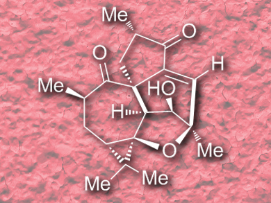 Total Synthesis of (+)-Steenkrotin A