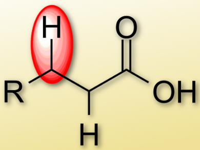 NHC-Catalyzed C–H Activation of Carbonyls