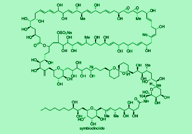 Symbiodinolide's C79-C104 Fragment