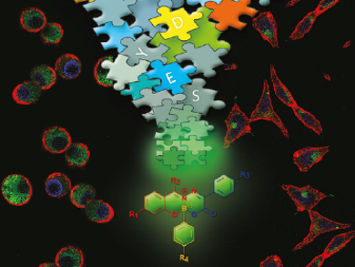 Modular Boronic Acids All Aglow