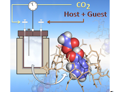 Host-Guest Recognition in Supercritical CO2