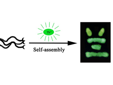 Metal–Peptide Nanoropes