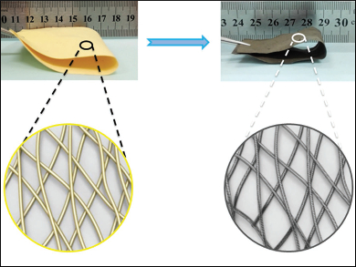 Nanofiber Electrodes