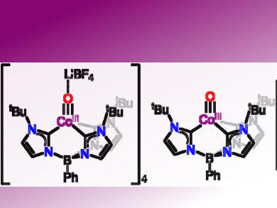 d6 Transition Metal Oxo Complexes