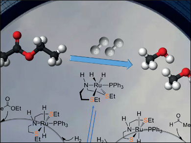 Calculations Reveal Unexpected Hydride Transfer Mechanism